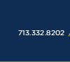 713.332.8202
