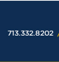 713.332.8202